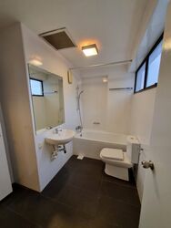 The Cairnhill (D9), Condominium #545755621